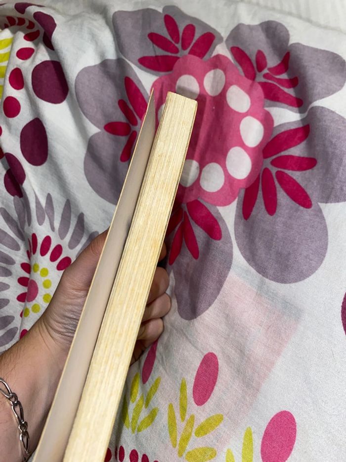 Livre grand galop - photo numéro 5