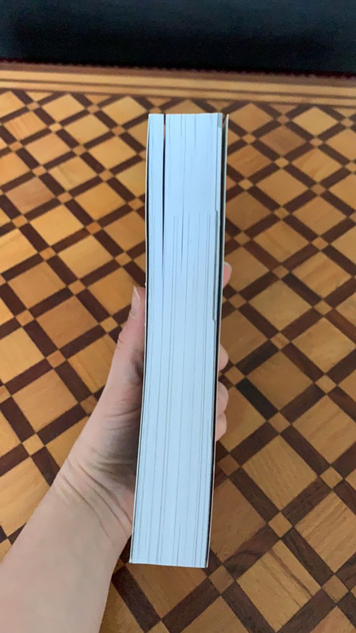 Livre Bel-Ami de Guy de Maupassant - photo numéro 3