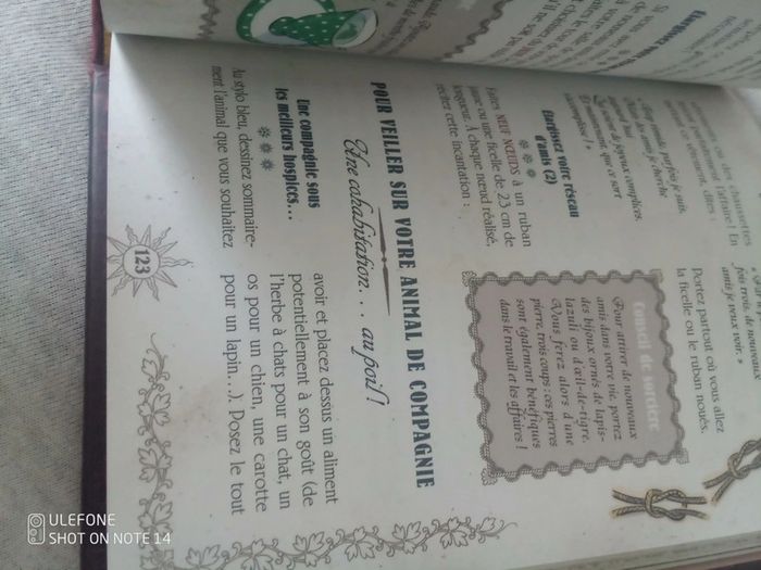 Manuel pour jeter des sorts - photo numéro 7