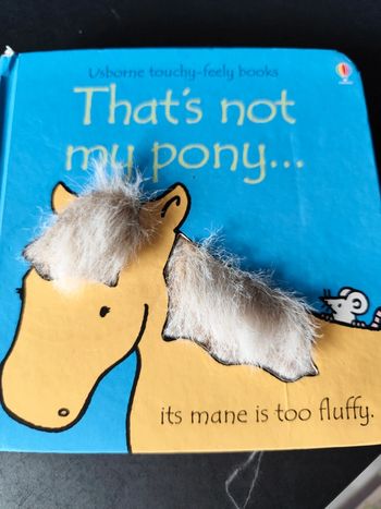 Livre anglais