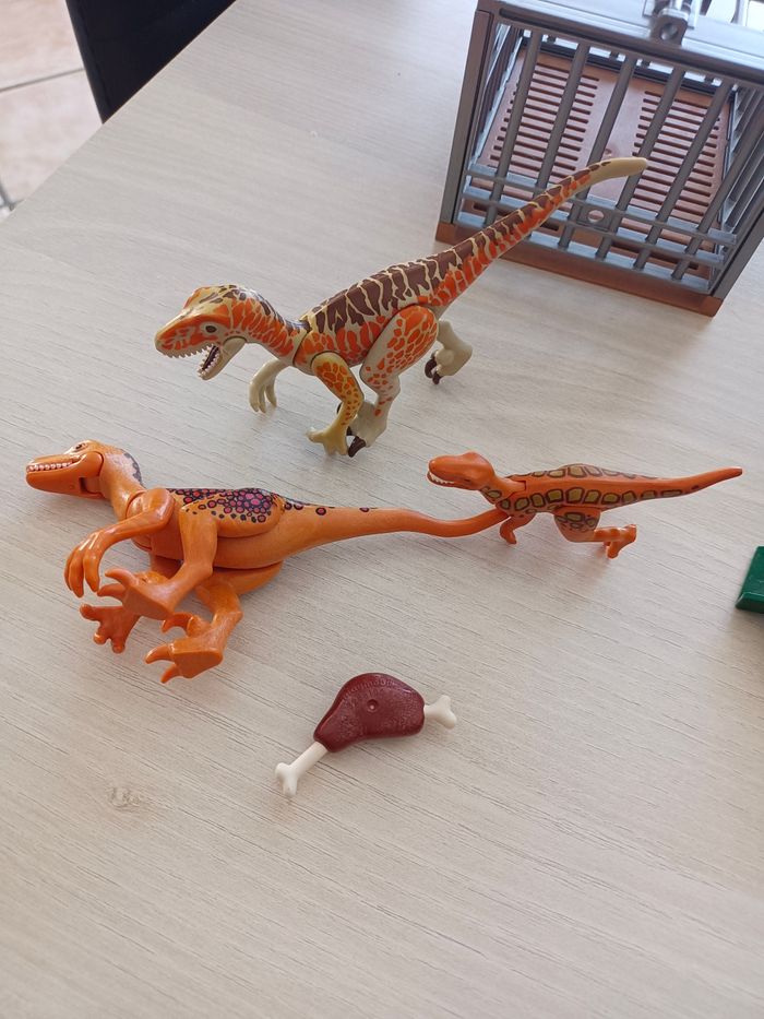 Playmobil dinosaures - photo numéro 9