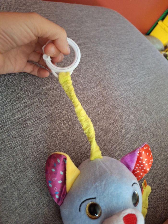 Alfred la chauve-souris - photo numéro 6