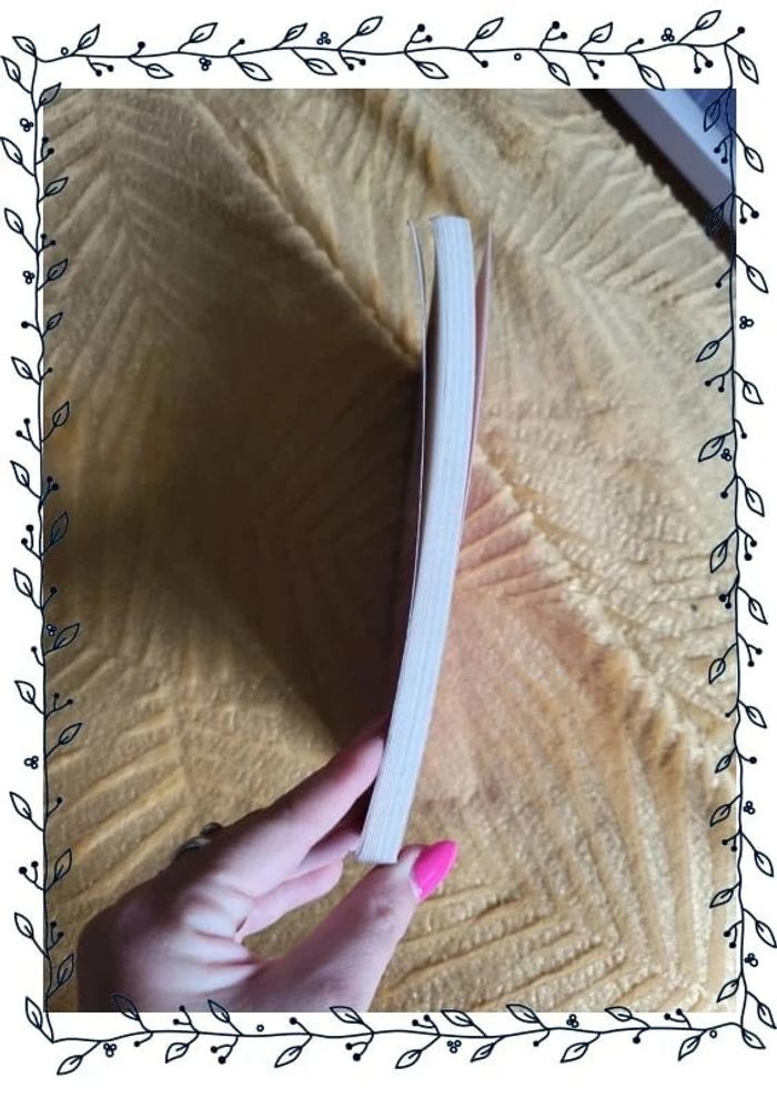 Livre bonjour paresse par corinne majer - photo numéro 3