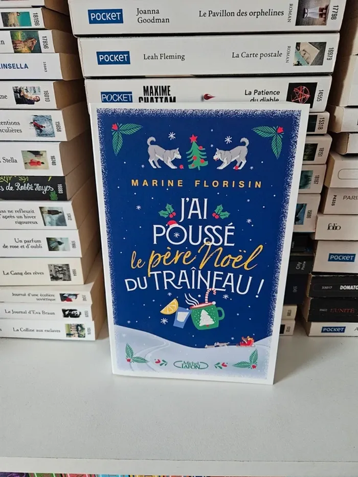 Livre gf j'ai poussé le père Noël du traîneau