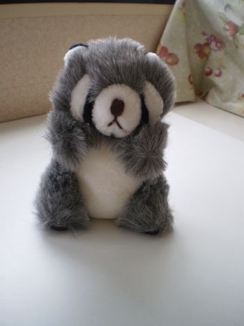 peluche raton laveur neuf