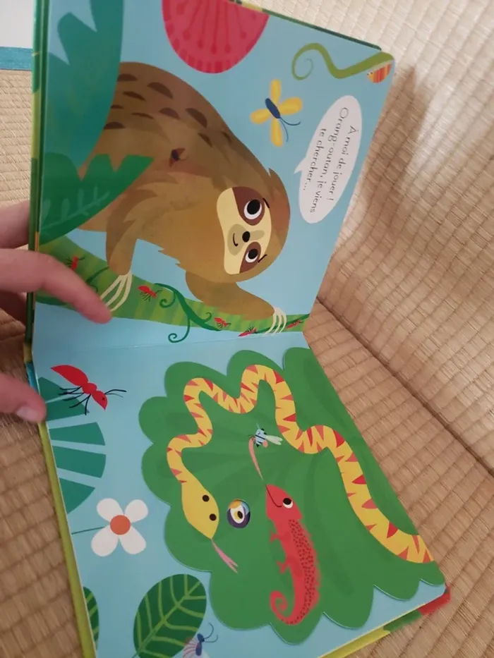 Joue à cache-cache avec tigre - photo numéro 6