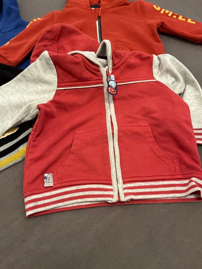 Vestes - photo numéro 3