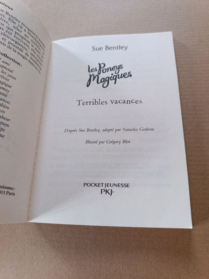Les poneys magiques Terribles vacances - photo numéro 3