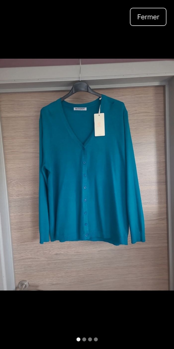 Gilets bleu ciel et turquoise Taille : 44 Prix : 10 € pièce - photo numéro 5