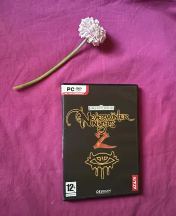 Neverwinter knights