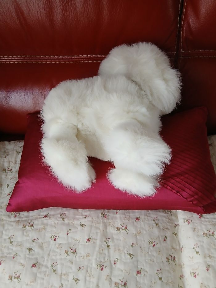 Peluche Caniche Royal  *29 cm - photo numéro 7