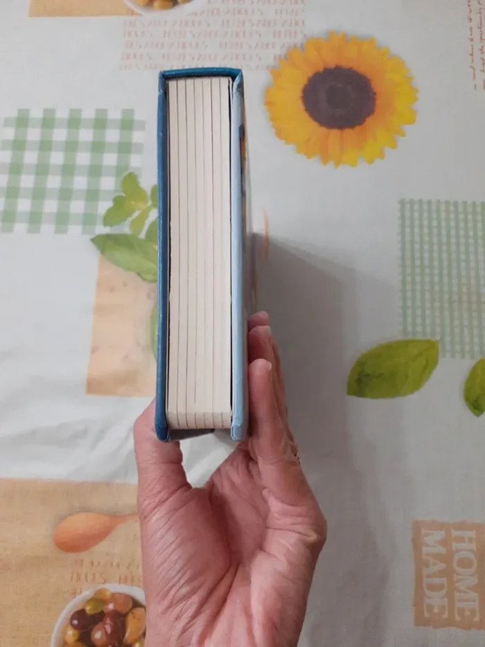 Mon premier livre de Noël - photo numéro 10