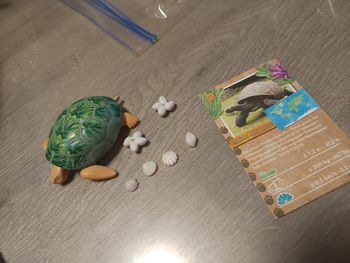 Playmobil wiltopia tortue géante
