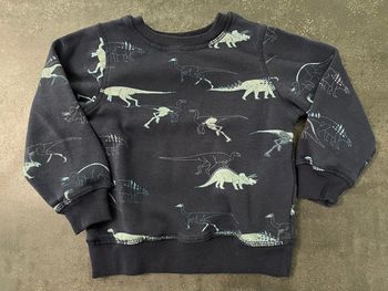 Sweat pull bleu dessin dinosaures taille 2-3 ans marque Tex