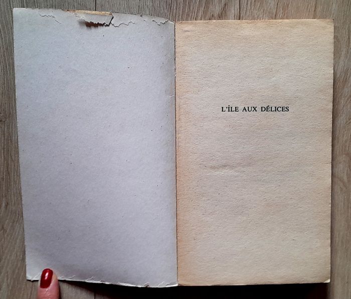 Anne de Launay - l'île aux délices plaisir les éditions du bébé noir - photo numéro 5