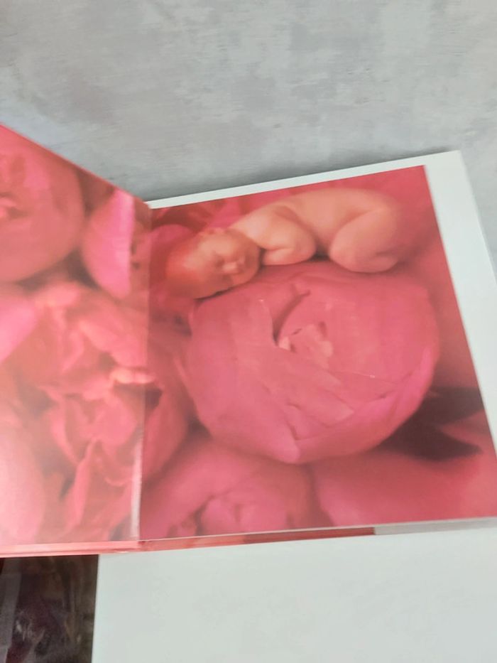 Livre Anne géodésique et Céline Dion - photo numéro 3