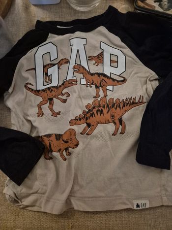 Tee-shirt manche longues gap 3ans