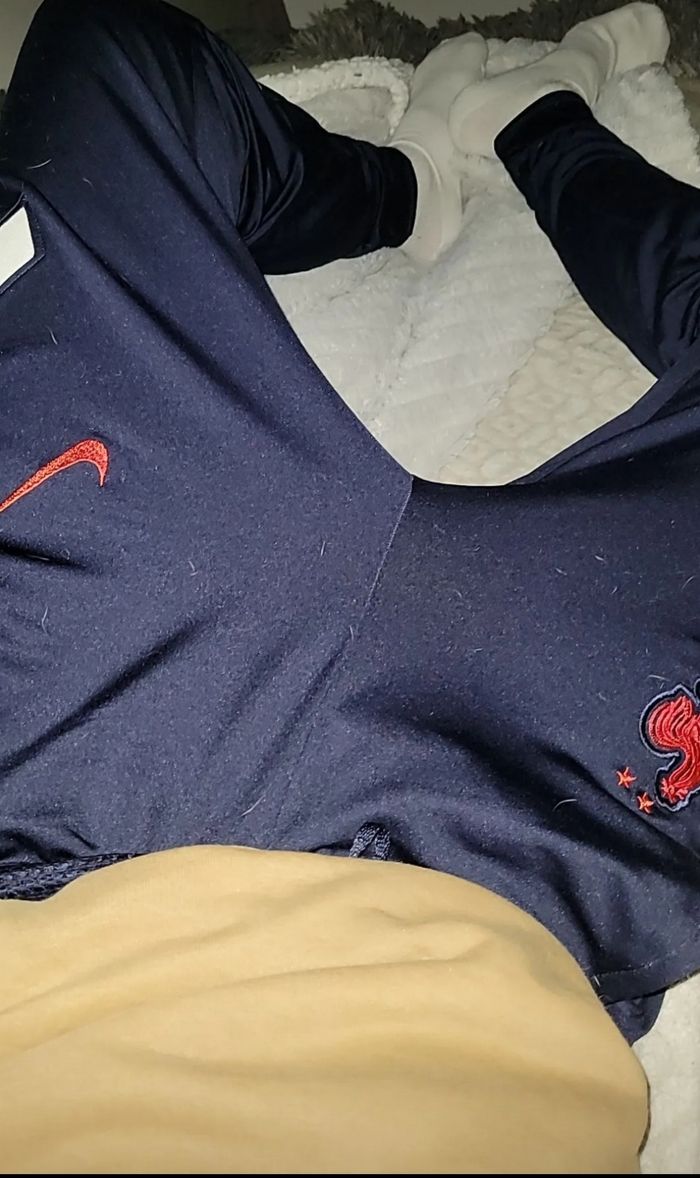 Survêt Nike coq sportif