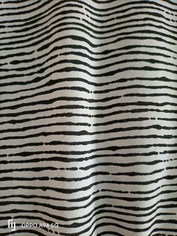 Haut zèbre - photo numéro 3