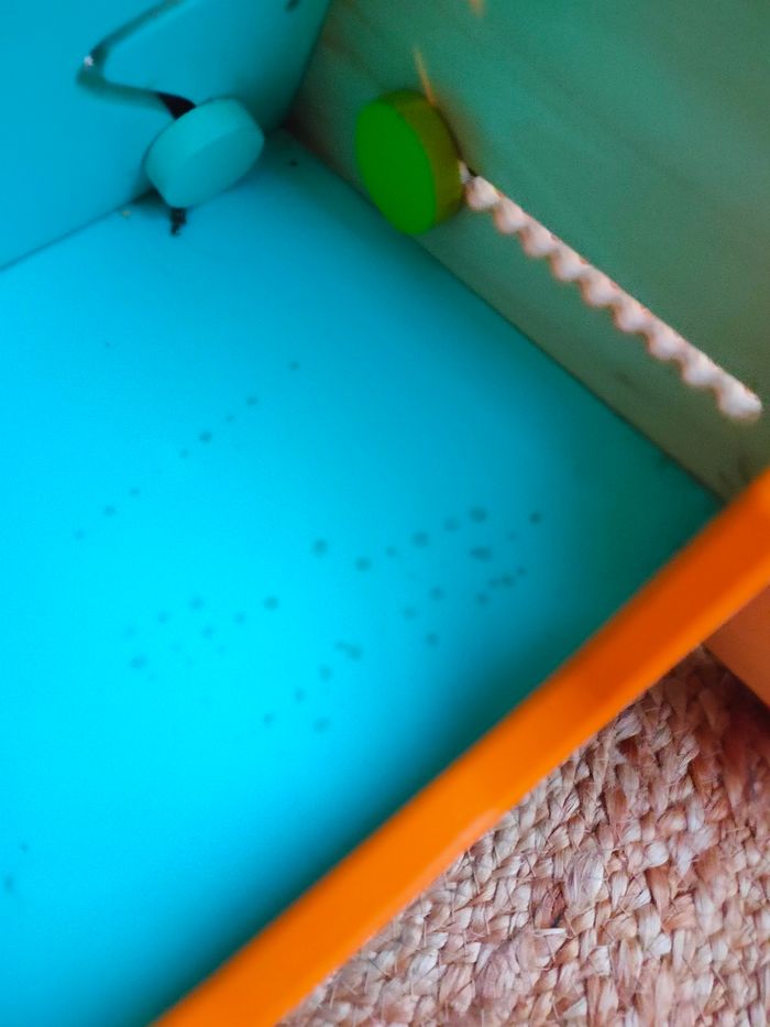 Chariot de marche Nature et découverte - photo numéro 8