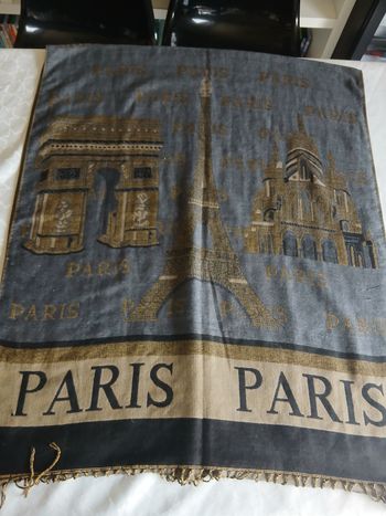 Grande echarpe monuments Paris