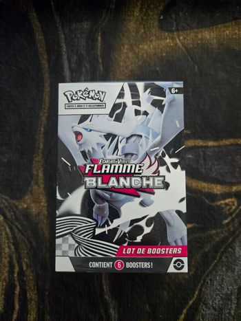 Bundle 10.5 Flamme Blanche Pokemon