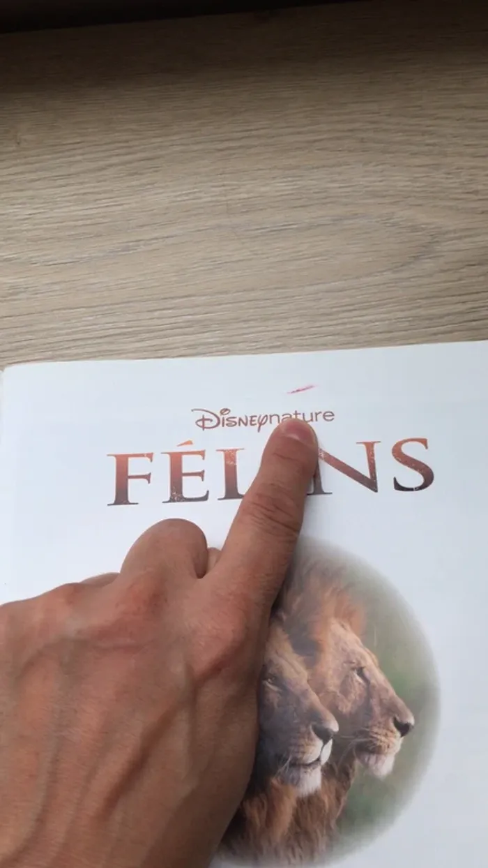 Livre Félins - photo numéro 5