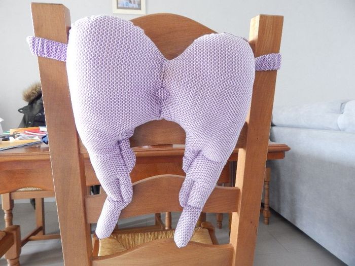 Ailes pour déguisement