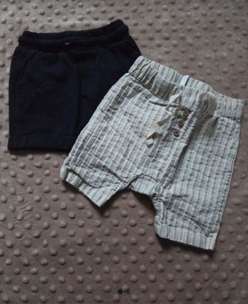 Lot 2 shorts