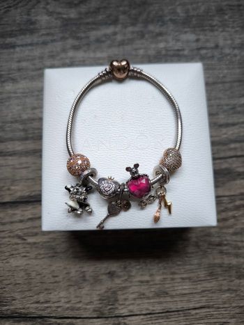 Bracelet complet Pandora