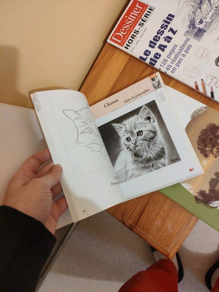 Lots de 3 livres de dessins - photo numéro 6