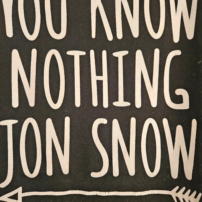 T-shirt Jon Snow - photo numéro 2