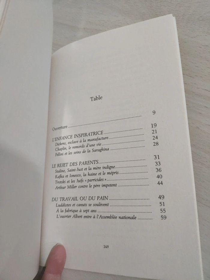 Livre grand format essai L'entrée dans la vie amour travail famille révolte change destin Ferro - photo numéro 7