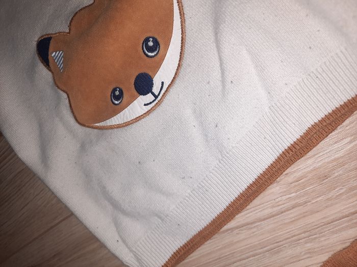 Ensemble renard - photo numéro 4