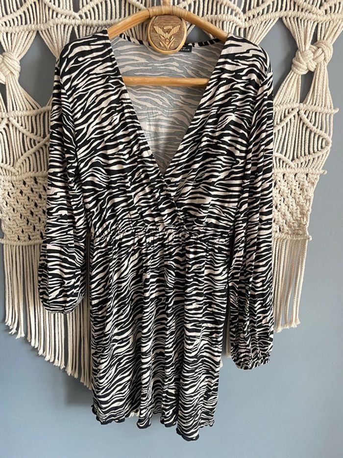 Robe zébrée - photo numéro 2