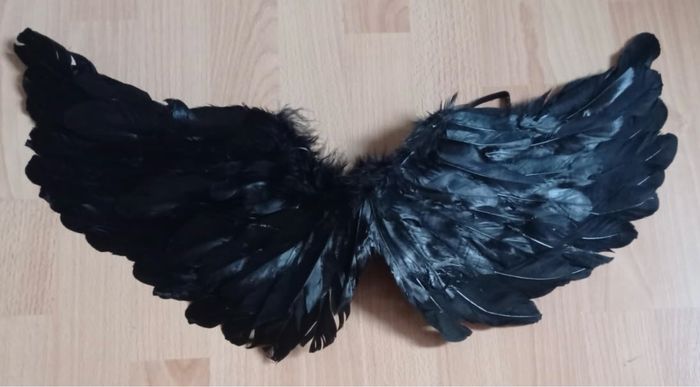 Déguisement aille+ jupette noir 3-6ans - photo numéro 6