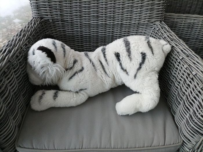 Magnifique peluche tigre blanc neuve - photo numéro 5