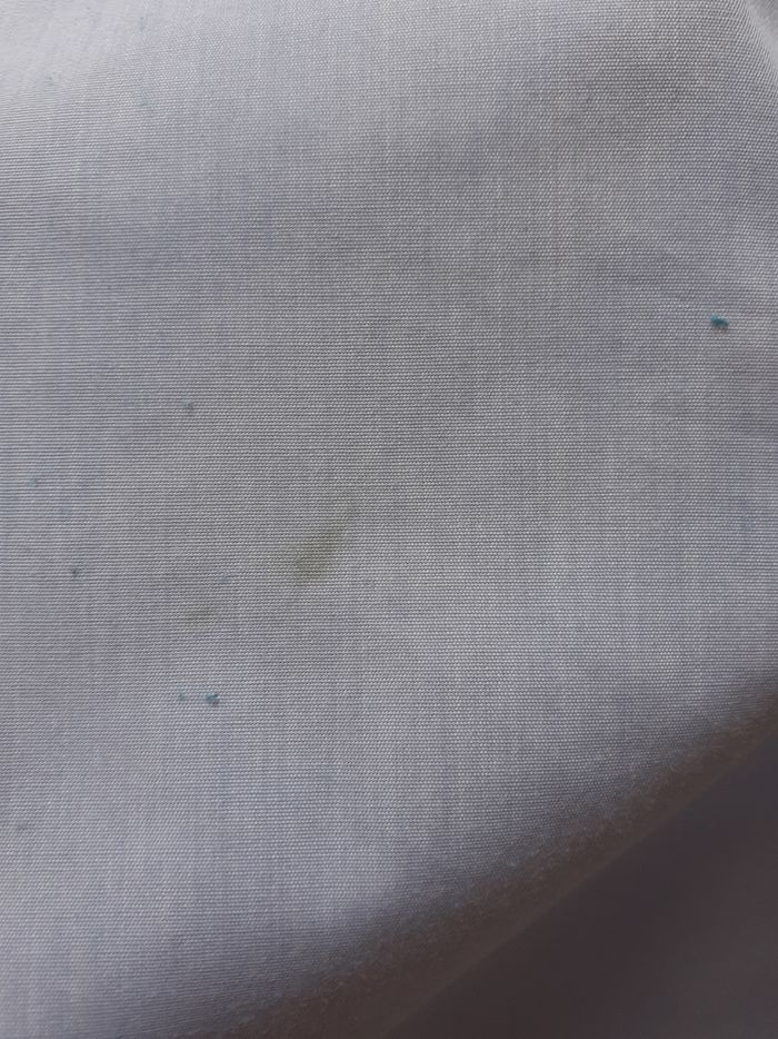Chemise bleue homme taille s seidensticker - photo numéro 5