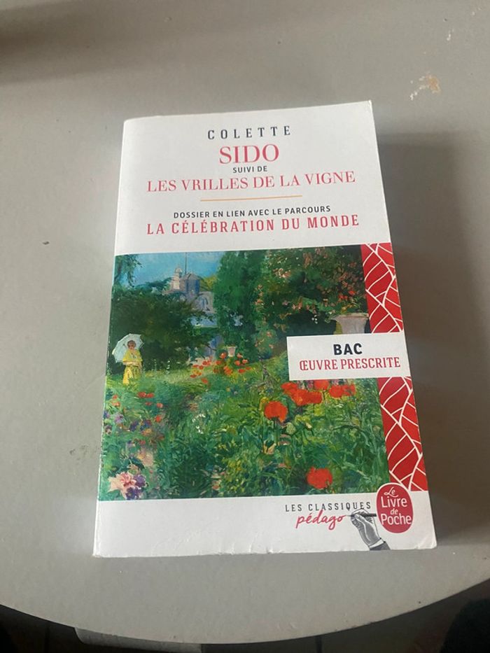 Les vrilles de la vigne