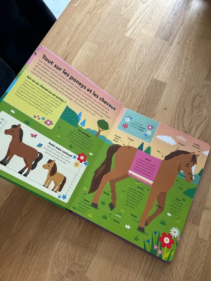 Livre sur poney et chevaux - photo numéro 2