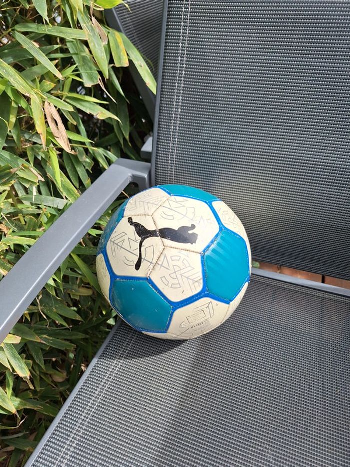 Ballon Puma