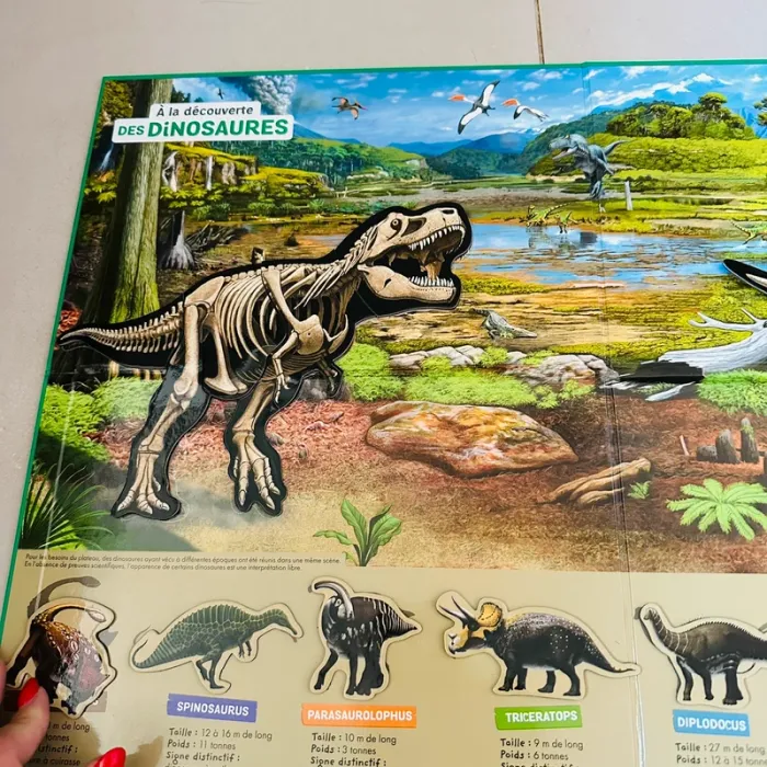 À la découverte des dinosaures - photo numéro 3