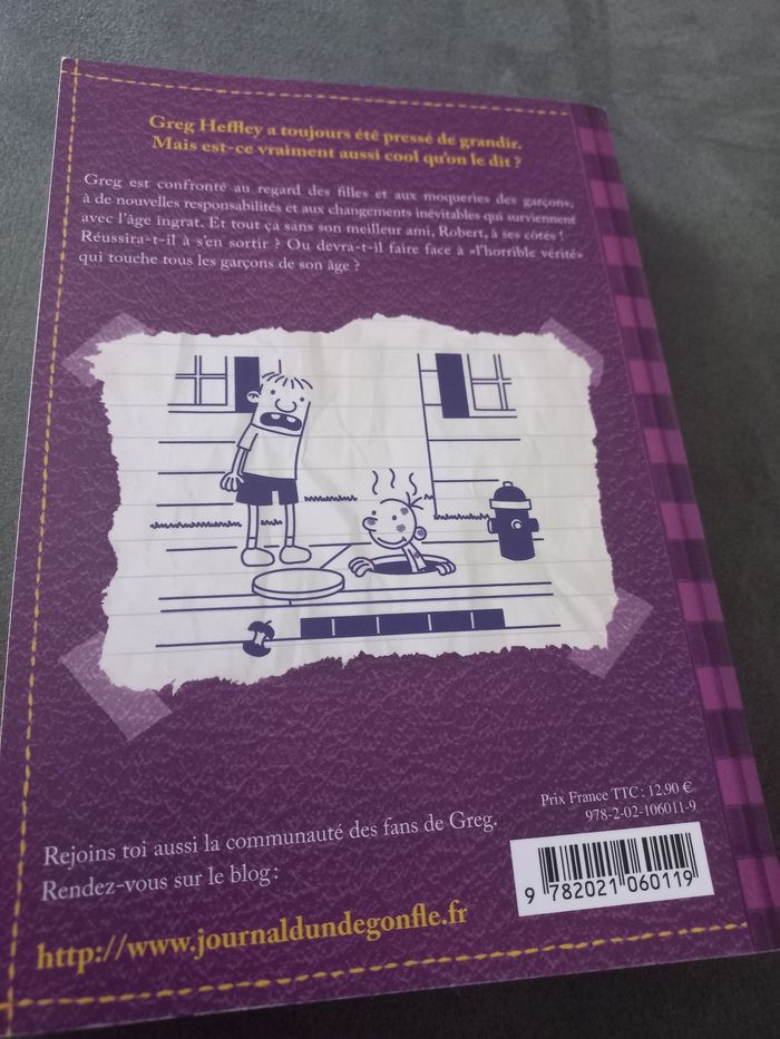 Livre roman journal d'un dégonflé tome 5 - photo numéro 2