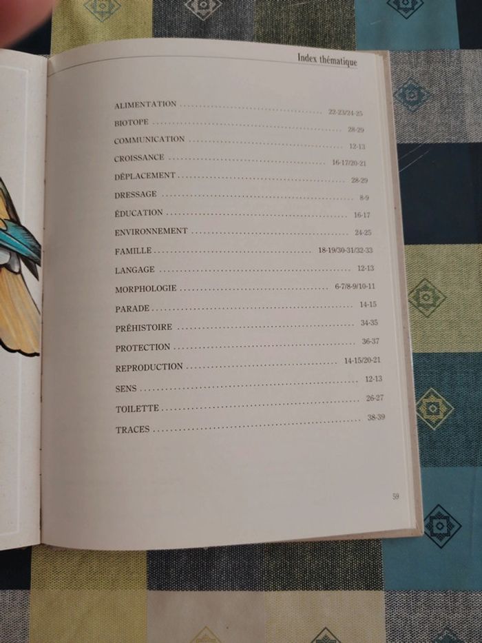 Livre sur l'éléphant - photo numéro 16