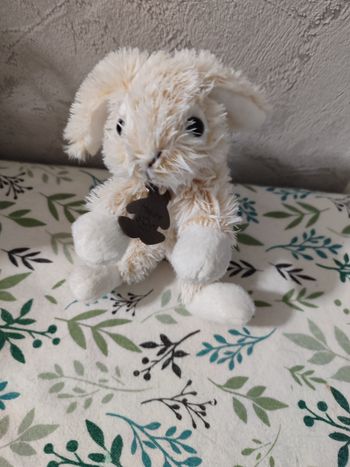 Doudou lapin histoire d'ours 