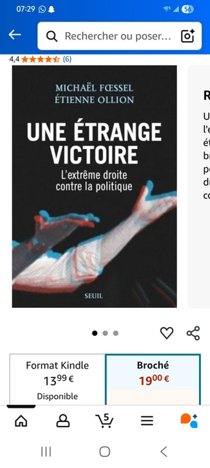 Une étrange victoire politique - photo numéro 9