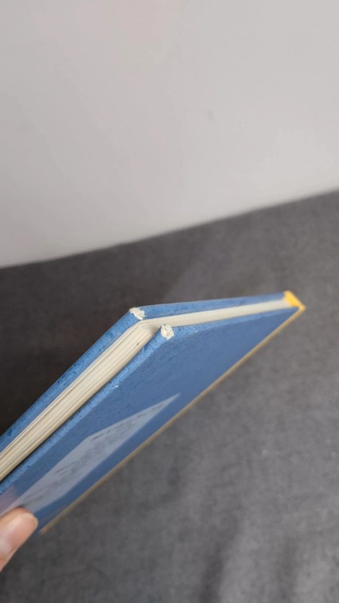 Hercule - photo numéro 5