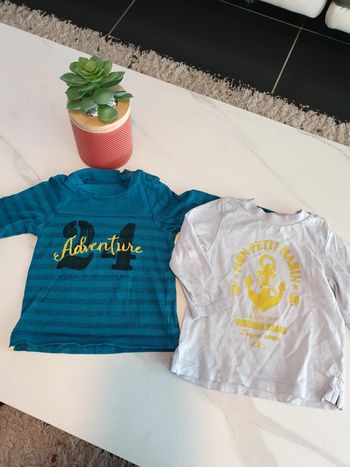 2 t-shirts ml 9 mois