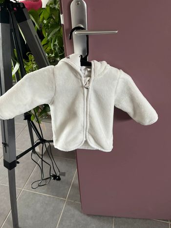 Veste