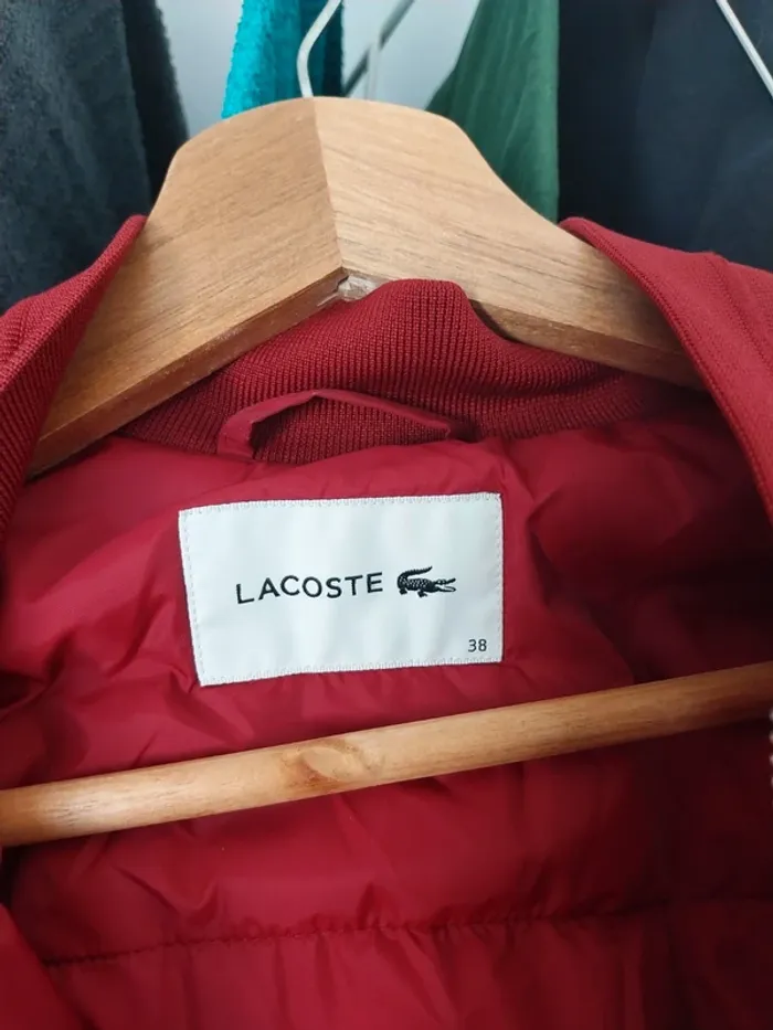 Bomber bordeaux Lacoste 38 - photo numéro 5